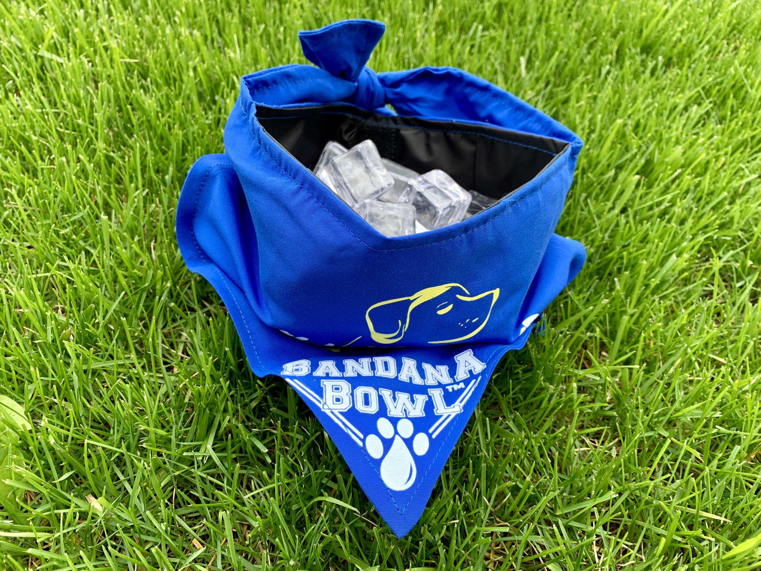 A blue bandana bowl with ice cubes in it on the green grass