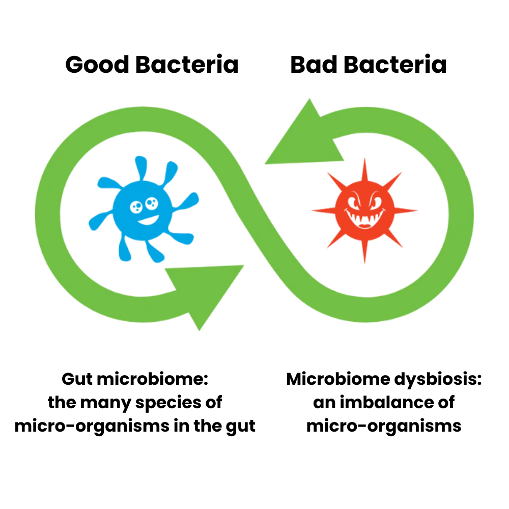 The transition between Good and Bad Bacteria