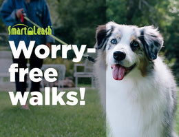SmartLeash® – Pet Product Innovations LLC